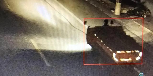 掩耳盗铃?8小时落网! 掩耳盗铃?8小时落网!