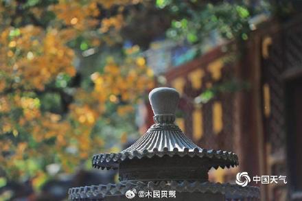 绿色→黄色→红色北京香山枫叶开启渐变模式