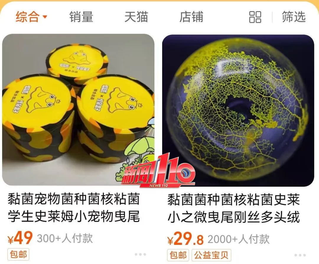 现在都流行这个?家长傻眼:孩子说要养它 现在都流行这个?家长傻眼:孩子说要养它