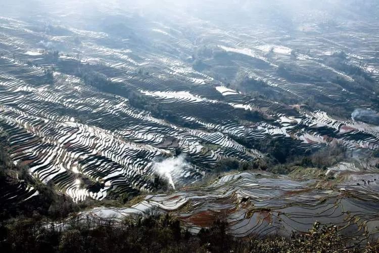 突然爆红的哀牢山究竟什么样？这些上海市民曾去过