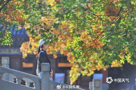 绿色→黄色→红色北京香山枫叶开启渐变模式