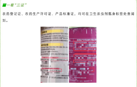 蟑螂“检测出抗药性”，佛山疾控最新回应：不科学！