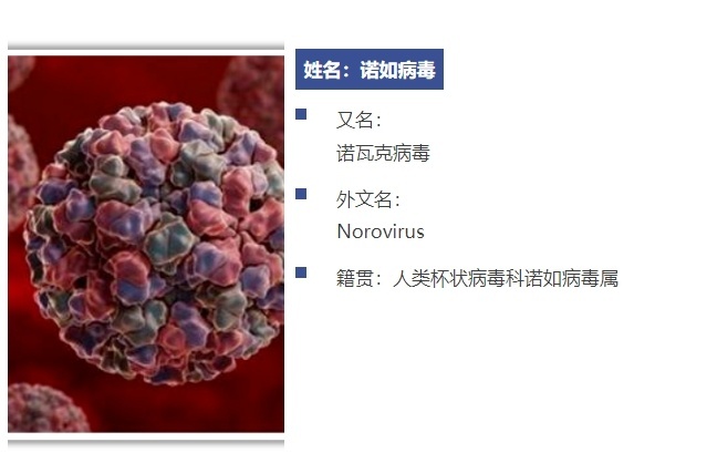 10月至3月是诺如病毒感染的高发季节，如何预防？