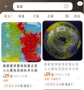 突然火了！年轻人扎堆养……网友：这也能养?