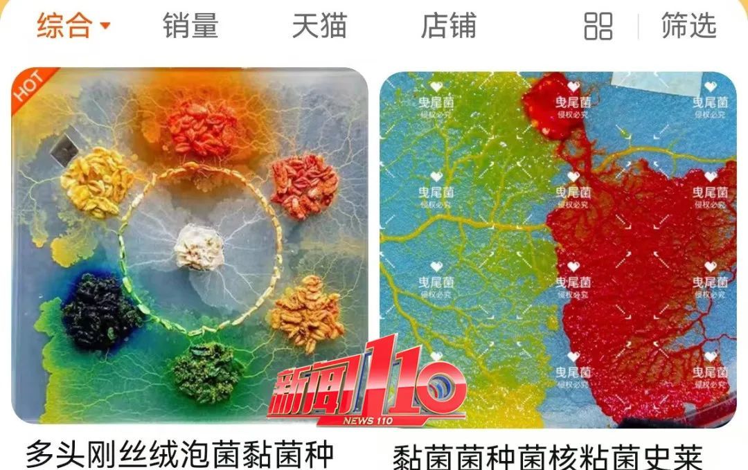 现在都流行这个?家长傻眼:孩子说要养它 现在都流行这个?家长傻眼:孩子说要养它