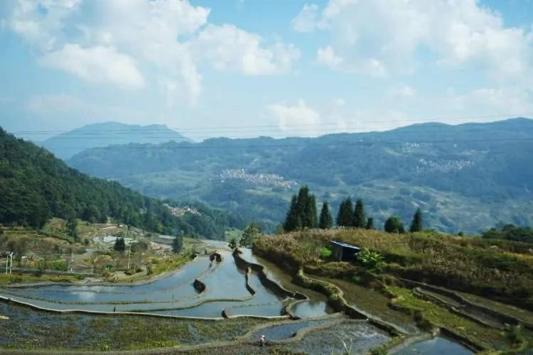 突然爆红的哀牢山究竟什么样？这些上海市民曾去过