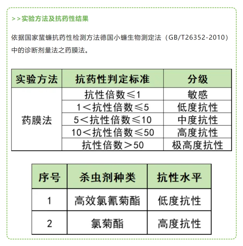 广东蟑螂已“进化”？疾控部门回应