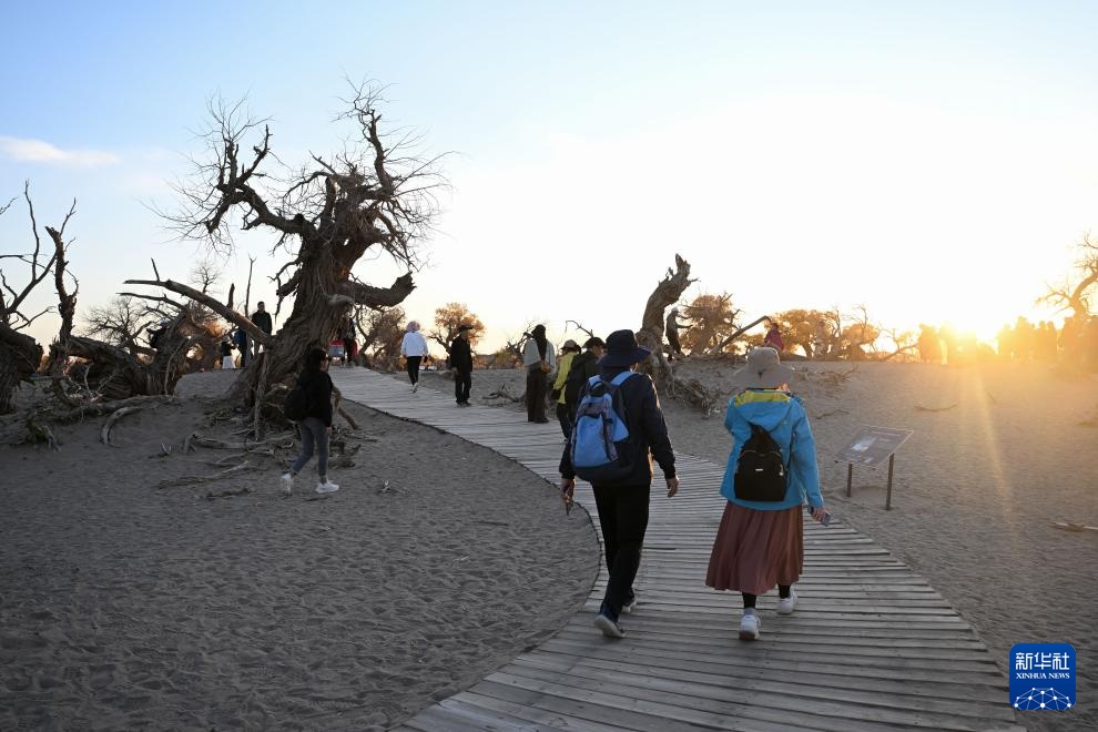 美丽中国|金秋额济纳美景引游人 美丽中国|金秋额济纳美景引游人