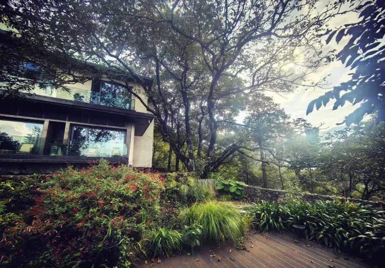 突然爆红的哀牢山究竟什么样？这些上海市民曾去过