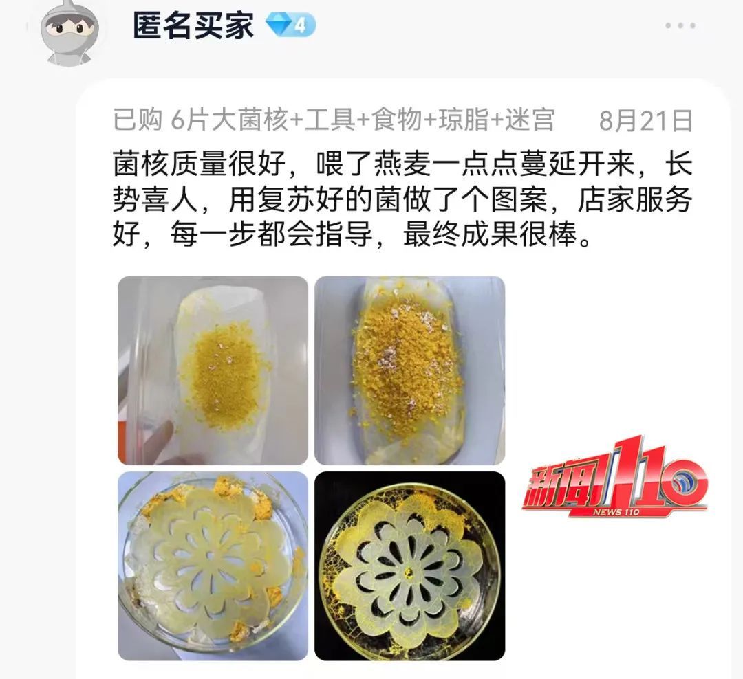 现在都流行这个?家长傻眼:孩子说要养它 现在都流行这个?家长傻眼:孩子说要养它