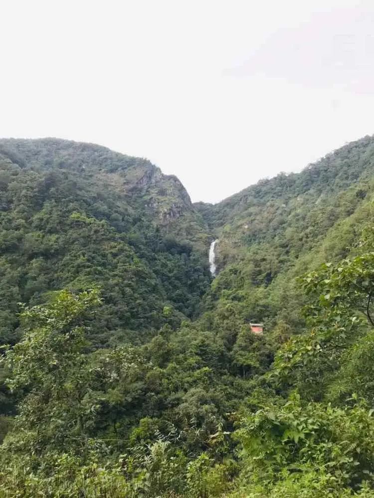 突然爆红的哀牢山究竟什么样？这些上海市民曾去过