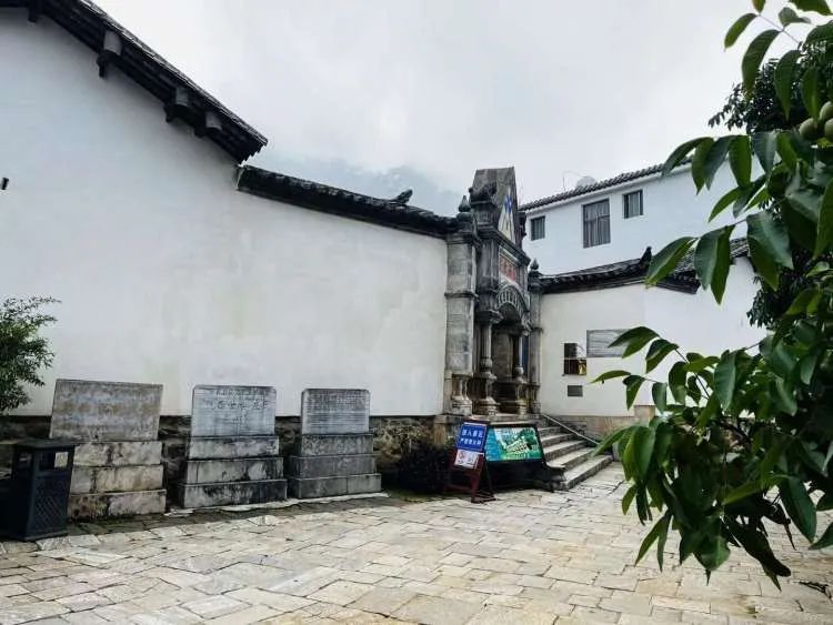 突然爆红的哀牢山究竟什么样？这些上海市民曾去过