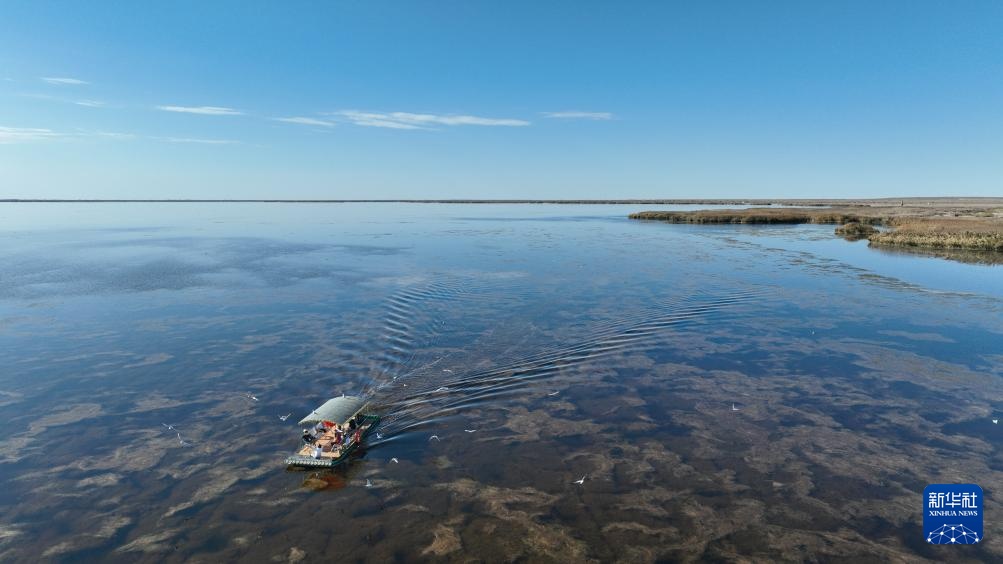 美丽中国|金秋额济纳美景引游人 美丽中国|金秋额济纳美景引游人