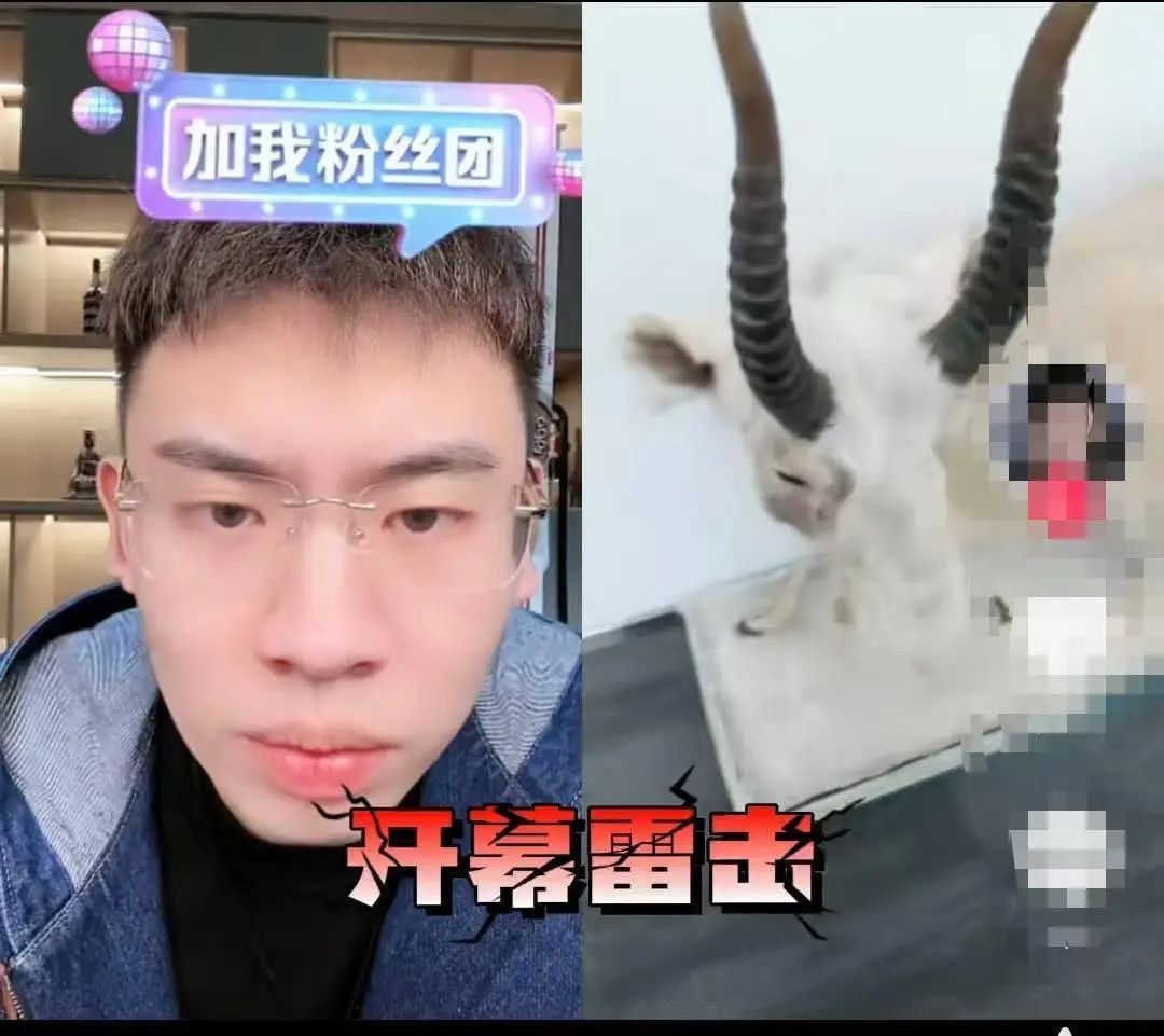 1个月涨粉千万,听泉鉴宝停播后陷争议 1个月涨粉千万,听泉鉴宝停播后陷争议