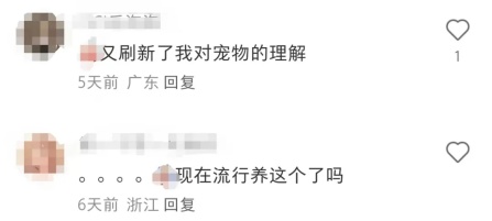 突然火了！年轻人扎堆养……网友：这也能养?