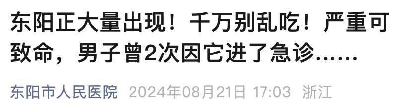 沈阳近期大量出现！别乱吃乱碰！有毒！