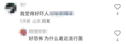 突然火了！年轻人扎堆养……网友：这也能养?