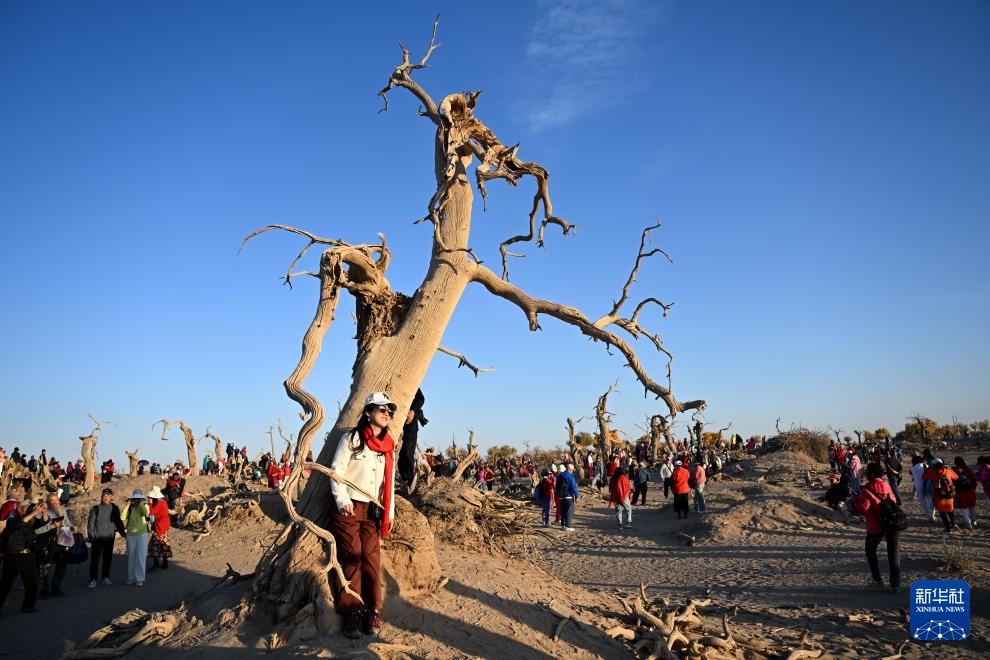 美丽中国|金秋额济纳美景引游人 美丽中国|金秋额济纳美景引游人