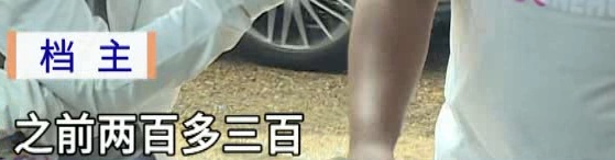 价格大跳水!低至8元一只,“接下来还可能降” 价格大跳水!低至8元一只,“接下来还可能降”