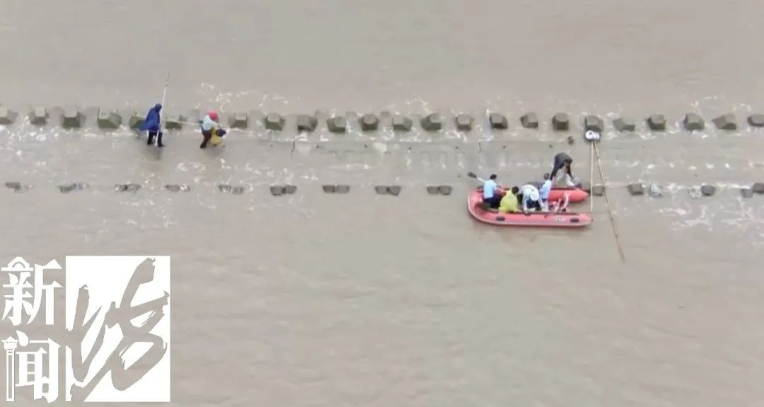 上海大量“泛滥”？此前已经焚毁上百吨！有人忍不了，结果悲剧...