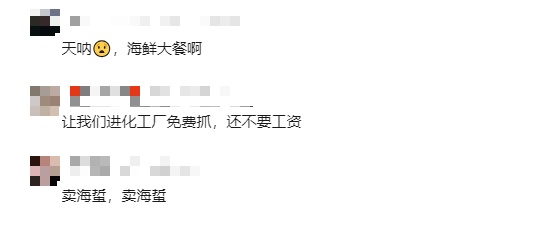 上海大量“泛滥”？此前已经焚毁上百吨！有人忍不了，结果悲剧...