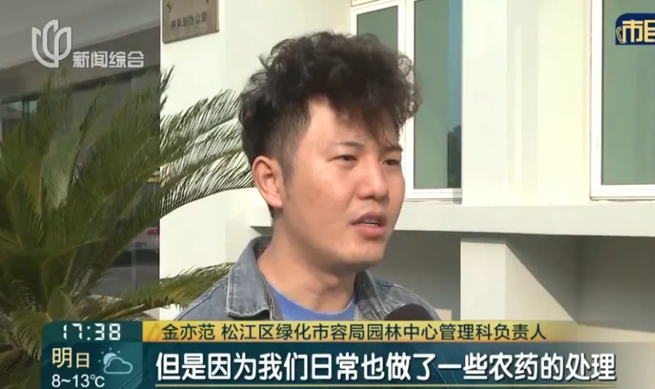 不要吃！不要捡！近期这种果子正大量出现→