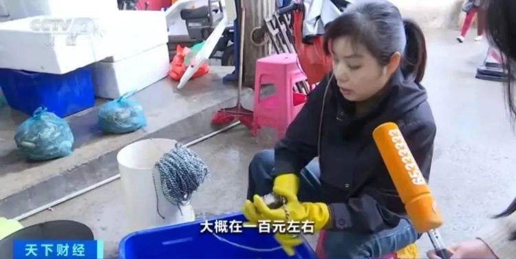 降价了！你爱吃的它，价格“大跳水”