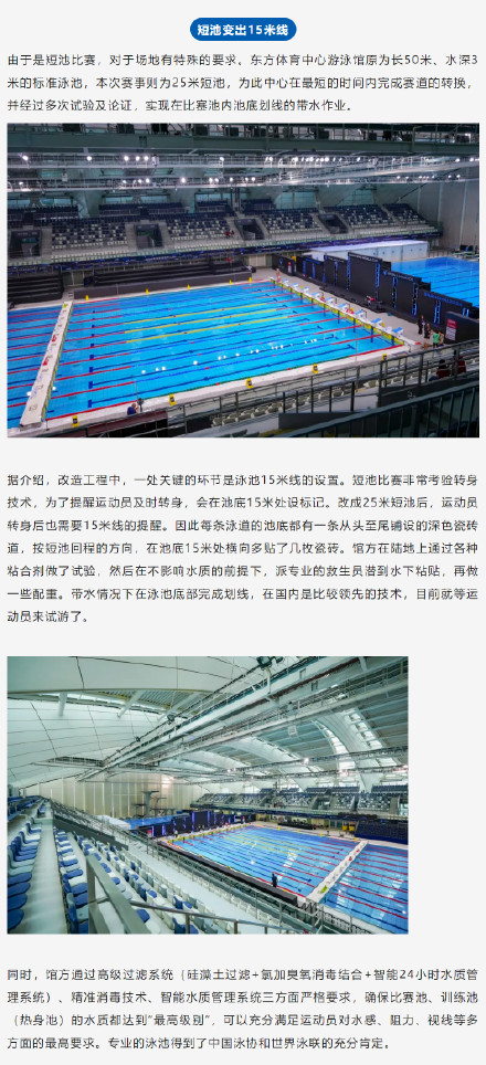 19位奥运冠军出战！2024年世界泳联游泳世界杯上海站即将开赛！