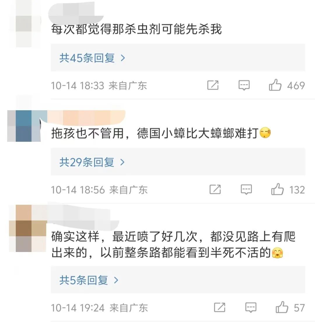 广东蟑螂已“进化”？疾控部门回应