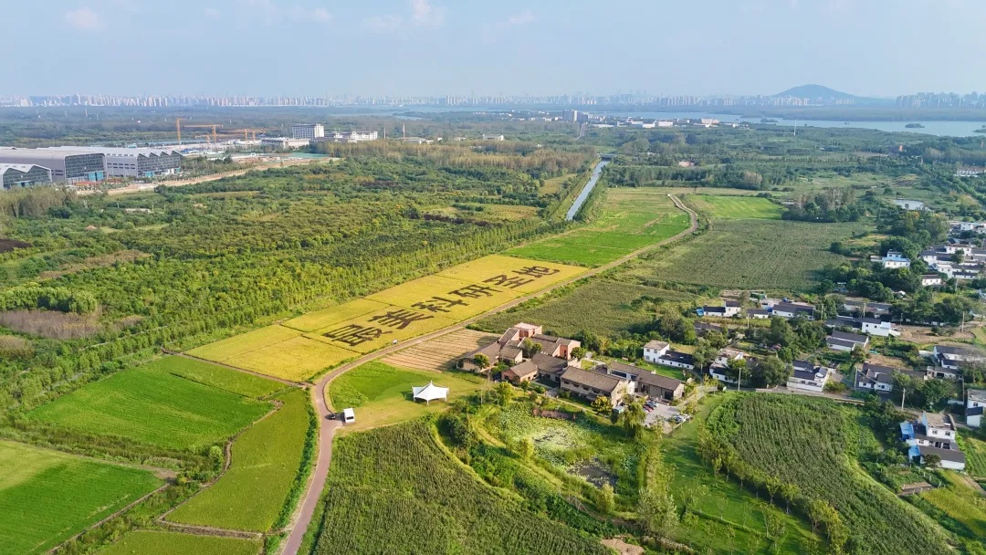 今天,看希望的田野上…… 今天,看希望的田野上……