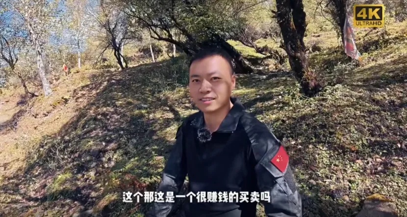 花20万只捕到5头野猪？当事人发声：已经开始上手了