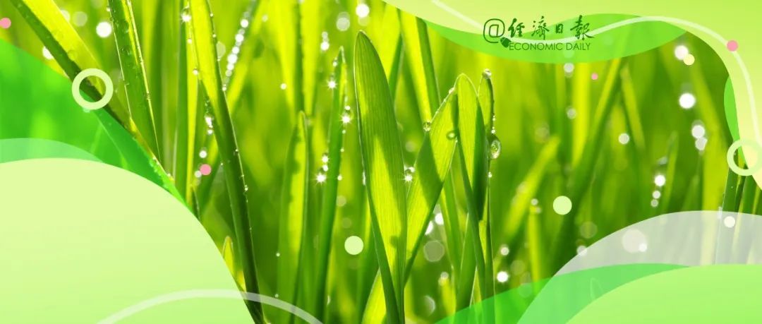 菜价持续走高，还会接着涨吗？