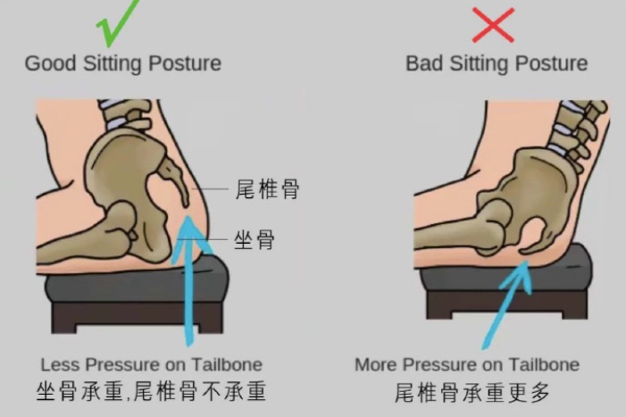 别再强求“把背挺直”了！不一定是健康坐姿