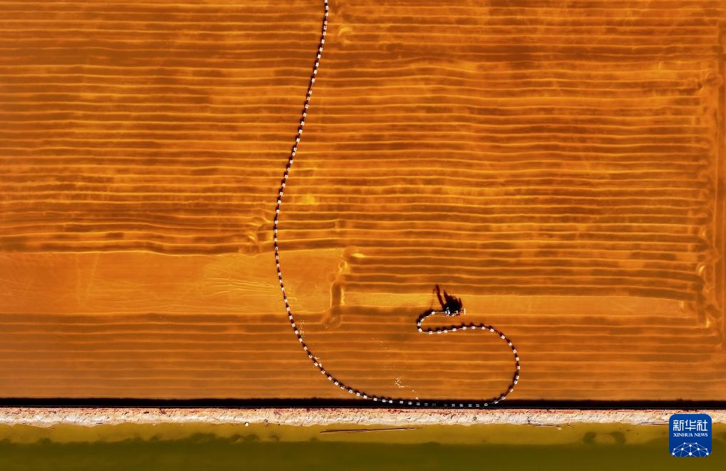 飞阅中国丨河北曹妃甸：“百里盐池”迎丰收