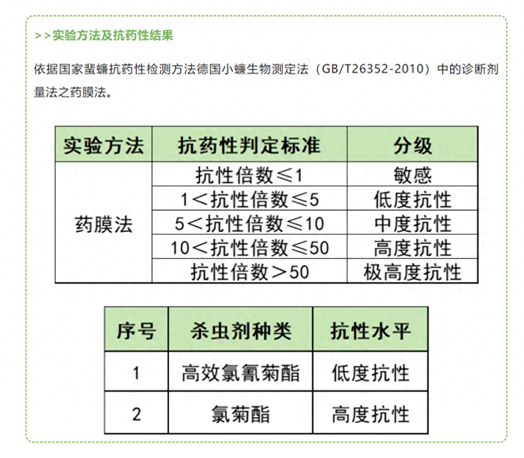 广东蟑螂已“进化”？疾控部门回应