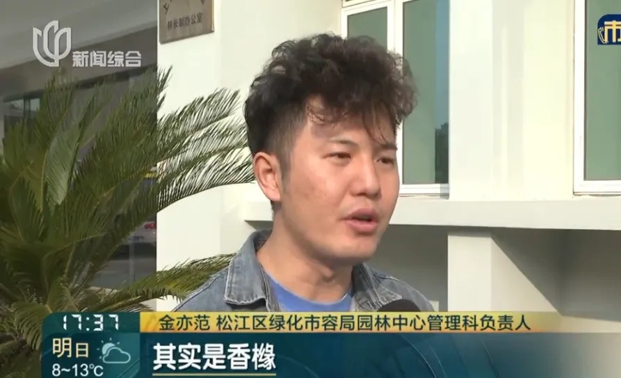 不要吃！不要捡！近期这种果子正大量出现→