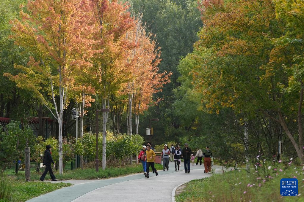 高质量发展调研行｜居民身边的体育文化“会客厅”