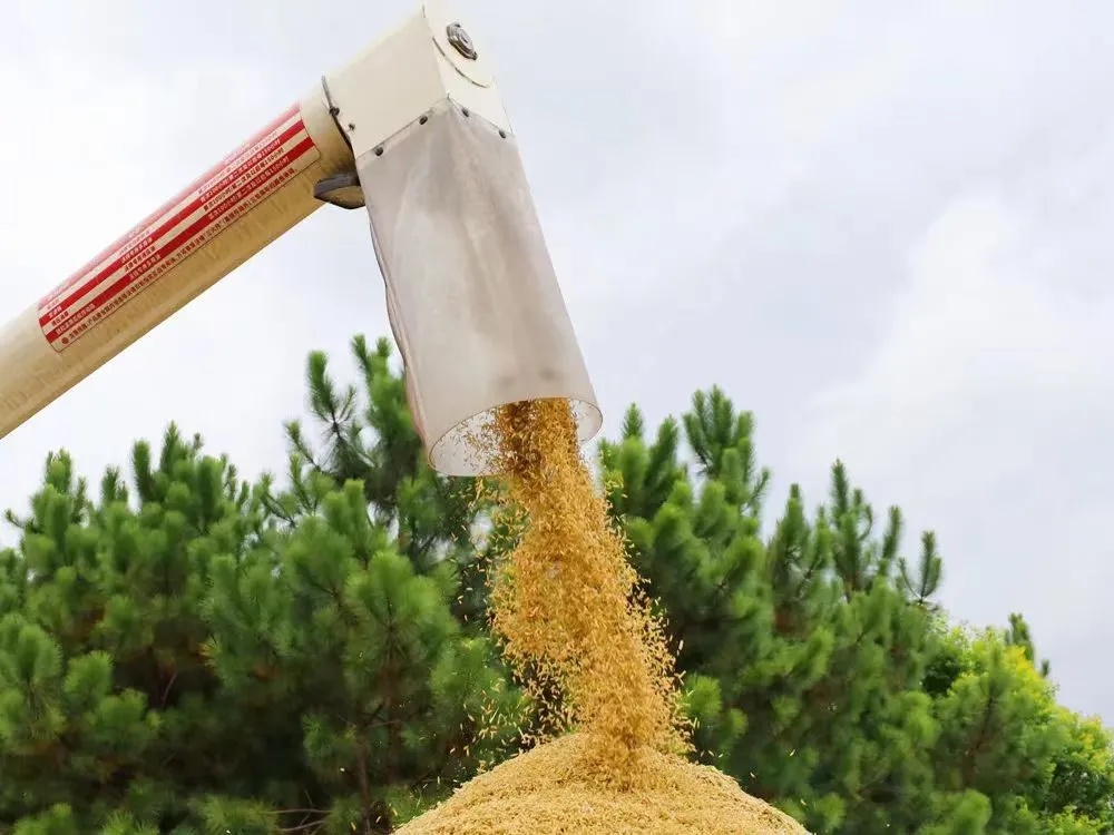 今天,看希望的田野上…… 今天,看希望的田野上……