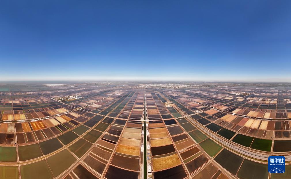 飞阅中国丨河北曹妃甸：“百里盐池”迎丰收