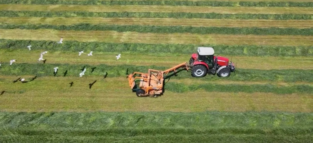 今天,看希望的田野上…… 今天,看希望的田野上……
