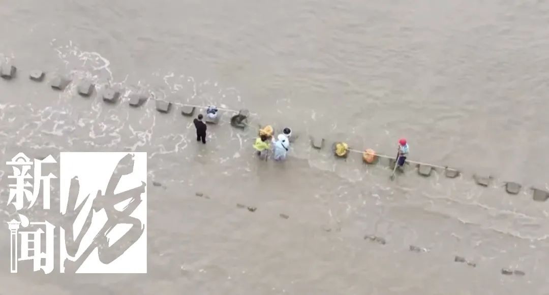 上海大量“泛滥”？此前已经焚毁上百吨！有人忍不了，结果悲剧...