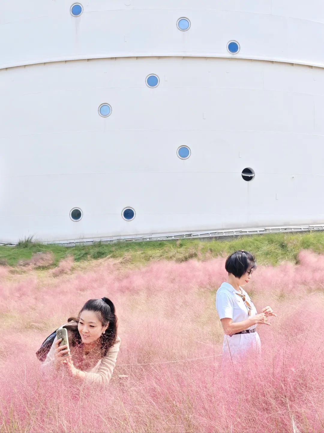 “粉色浪漫”已上线申城!粉黛乱子草这些地方可打卡→ “粉色浪漫”已上线申城!粉黛乱子草这些地方可打卡→