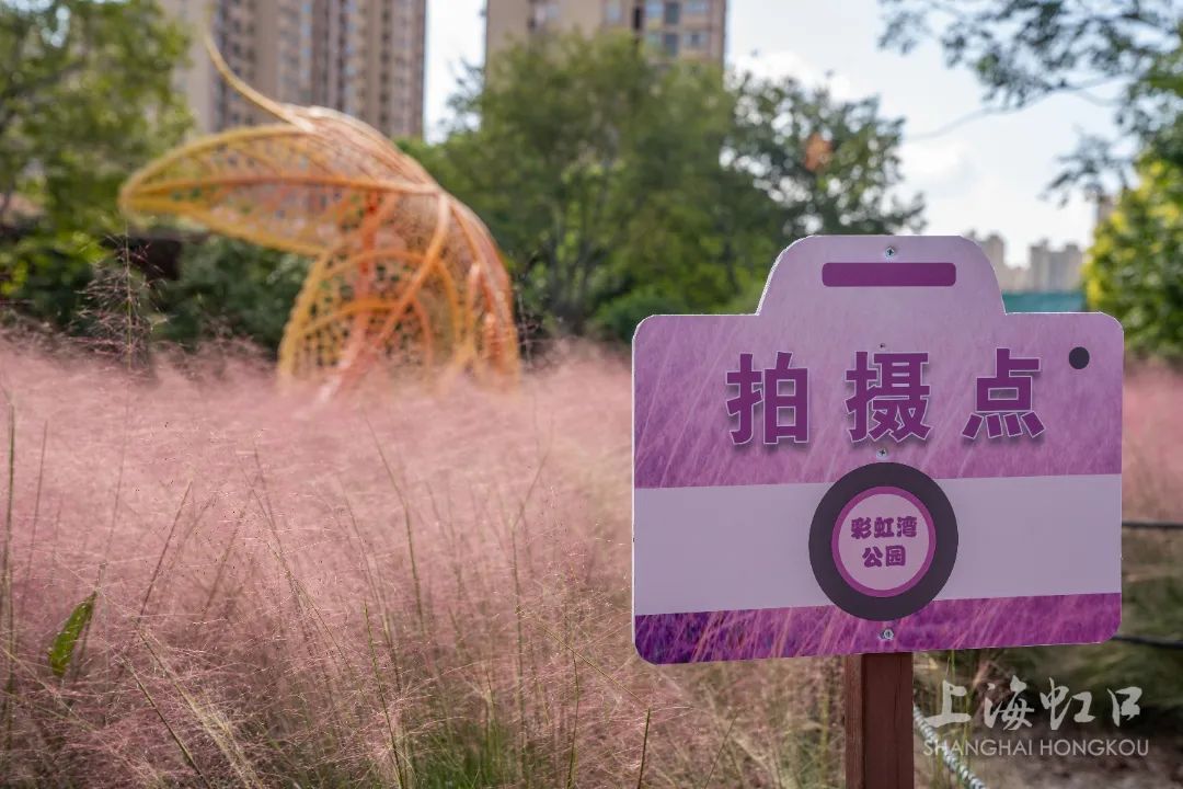 “粉色浪漫”已上线申城!粉黛乱子草这些地方可打卡→ “粉色浪漫”已上线申城!粉黛乱子草这些地方可打卡→