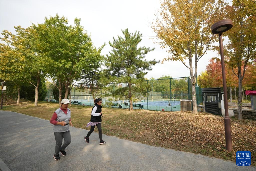 高质量发展调研行｜居民身边的体育文化“会客厅”