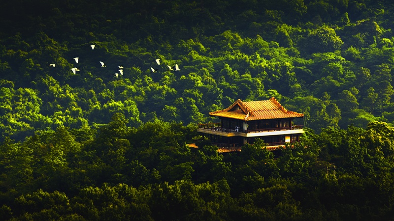 “剧本杀”游栖霞 第24届红枫艺术季即将红火“开戏”