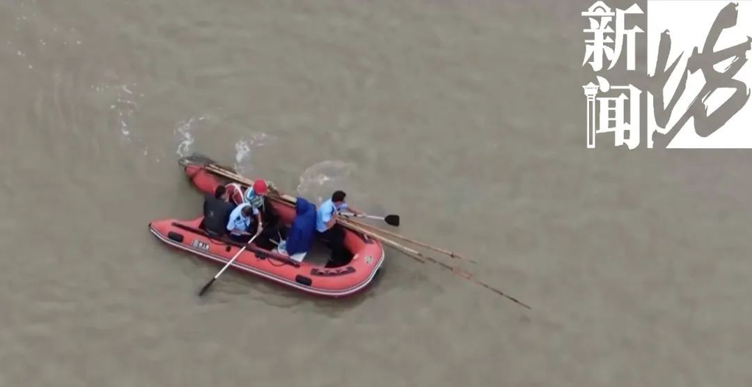 上海大量“泛滥”？此前已经焚毁上百吨！有人忍不了，结果悲剧...