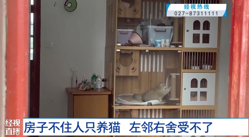 邻居家不住人只养猫，常年飘散恶臭味！武汉多名业主不堪其扰