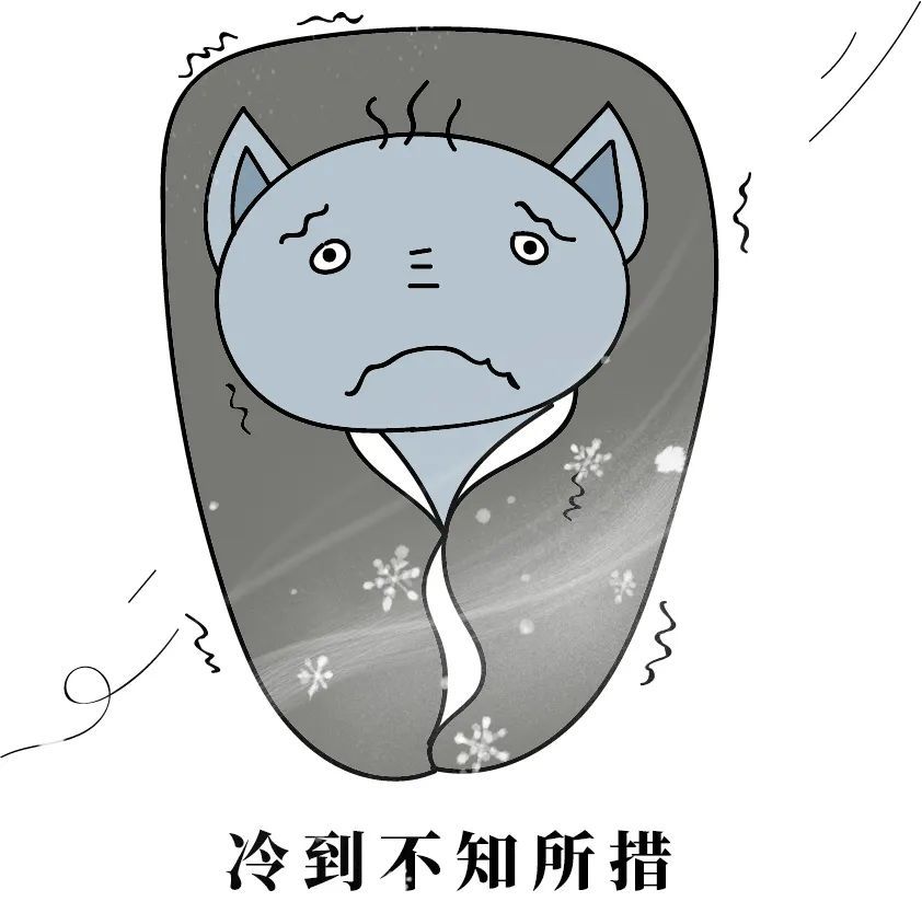 事关沈阳供热！10月20日，开始冷态试运行！