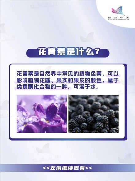 抗炎、抗氧化、还护眼!这10种富含花青素的食物推荐你多吃→ 抗炎、抗氧化、还护眼!这10种富含花青素的食物推荐你多吃→