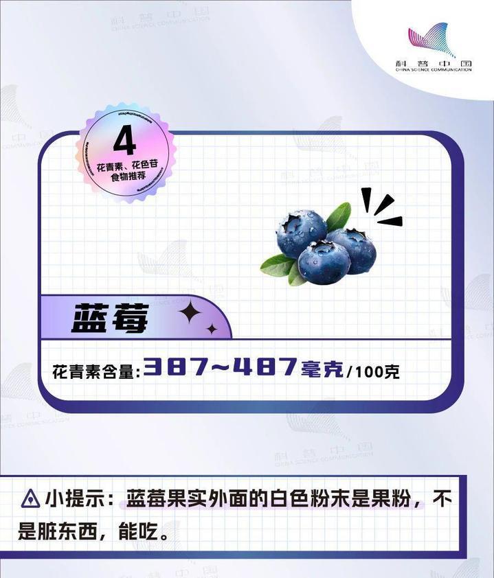 “花青素之王”不是蓝莓竟是它!多吃护脑、护眼、抗炎 “花青素之王”不是蓝莓竟是它!多吃护脑、护眼、抗炎